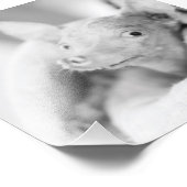 Alles Rosie Foto (Ecke)