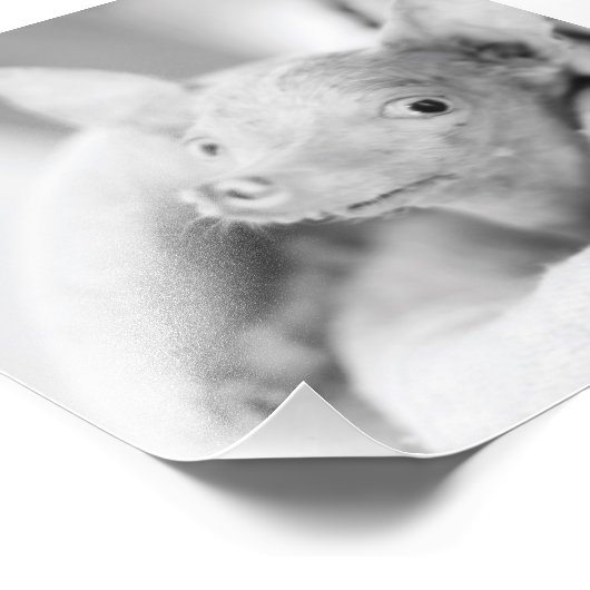 Alles Rosie Foto (Ecke)