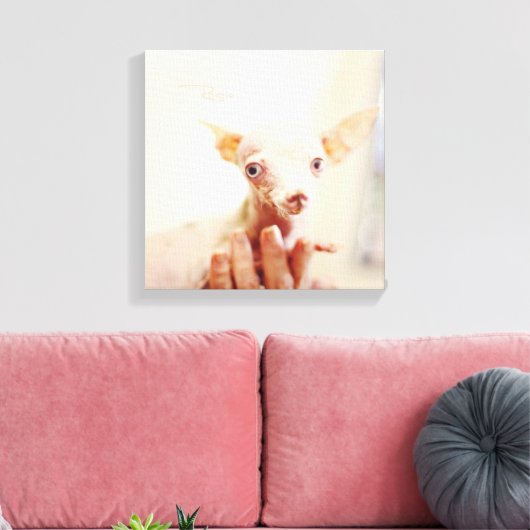 Alles Rosie Foto Leinwand (Insitu (Wohnzimmer))