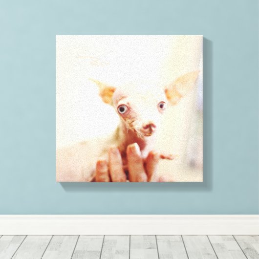 Alles Rosie Foto Leinwand (Insitu (Holzboden))