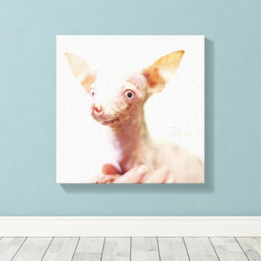 Alles Rosie Foto Leinwand (Insitu (Holzboden))