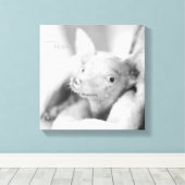 Alles Rosie Foto Leinwand (Insitu (Holzboden))