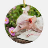 Alles Rosie Foto-Verzierung Keramik Ornament (Vorne)