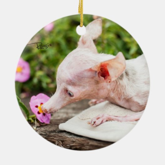 Alles Rosie Foto-Verzierung Keramik Ornament (Hinten)