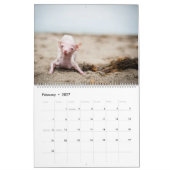 Alles Rosie Kalender (Feb 2027)