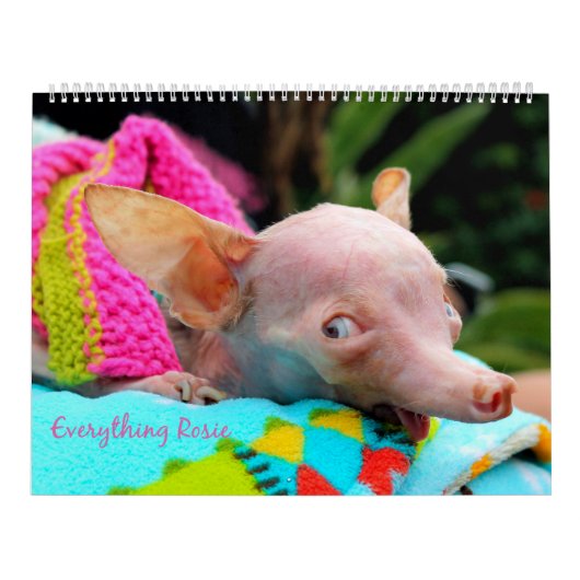 Alles Rosie Kalender (Titelbild)