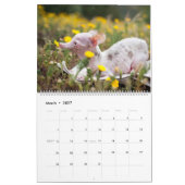 Alles Rosie Kalender (Mär 2027)
