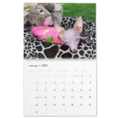 Alles Rosie Kalender (Jan 2027)