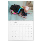 Alles Rosie Kalender (Jan 2027)