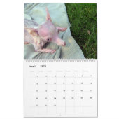 Alles Rosie Kalender (Mär 2026)