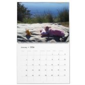 Alles Rosie Kalender (Jan 2026)