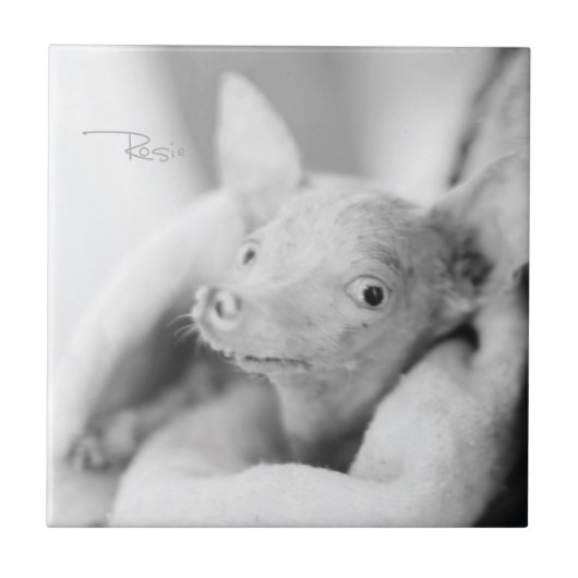 Alles Rosie Keramik-Fliese Fliese (Vorderseite)