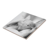 Alles Rosie Keramik-Fliese Fliese (Seite)