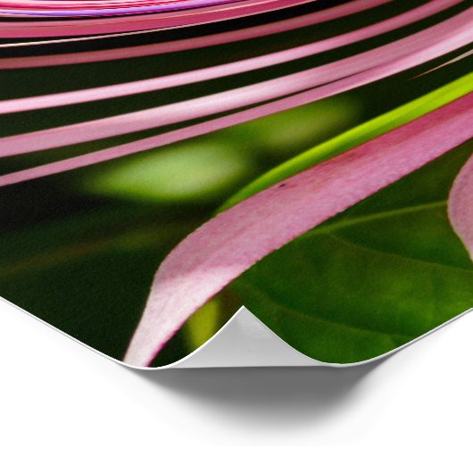 Alles verdreht poster (Ecke)