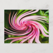 Alles verdreht postkarte (Vorderseite)