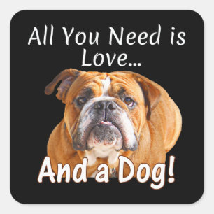 Alles was du brauchst ist Liebe & Bulldogge Süßes Quadratischer Aufkleber