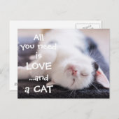 Alles was du brauchst ist Liebe...und eine Katze / Postkarte (Vorne/Hinten)