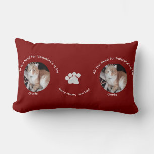 Alles was du brauchst Katzenfoto Liebe Lendenkissen