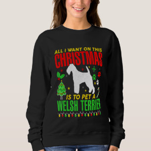 Alles, was ich an diesen Weihnachten Wollte, ist e Sweatshirt
