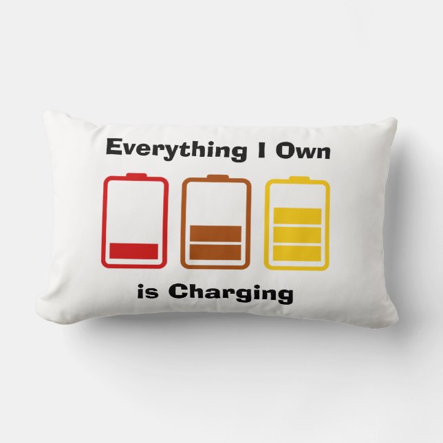 Alles, was ich besitze, kostet lendenkissen (Vorderseite)