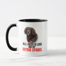 Alles was ich brauche ist Liebe und mein Boykin Sp