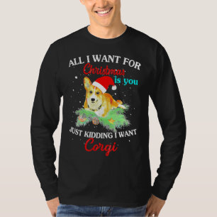 Alles, was ich für Weihnachten Gewollt habe, ist, T-Shirt