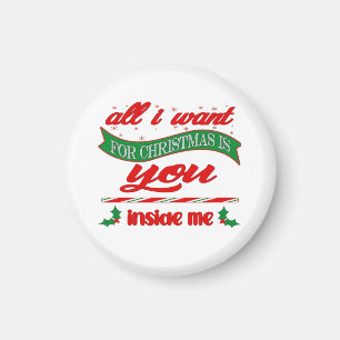 Alles, was ich für Weihnachten gewollt habe, sind  Magnet