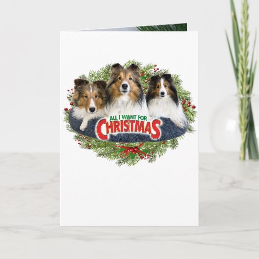 "Alles, was ich für Weihnachten gewollt habe" Weih (Vorderseite)