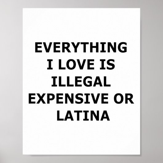 Alles, was ich liebe, ist illegal, teuer oder Lati Poster (Vorne)