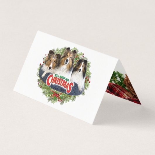 "Alles, was ich zu Weihnachten Gewollt habe" - Fal (Vorderseite)