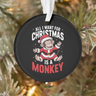 Alles, was ich zu Weihnachten Gewollt habe, ist ei Ornament