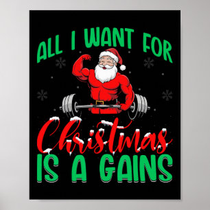 Alles, was ich zu Weihnachten will, sind Erfolge B Poster