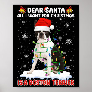 Alles, was ich zu Weihnachten Wollte, ist Boston T Poster