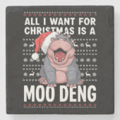 Alles, was ich zu Weihnachten Wollte, ist ein Moo  Steinuntersetzer (Vorderseite)