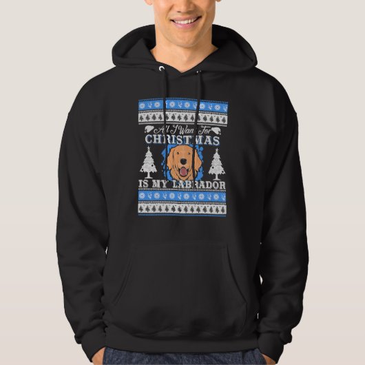 Alles, was ich zu Weihnachten Wollte, ist mein Lab Hoodie (Vorderseite)