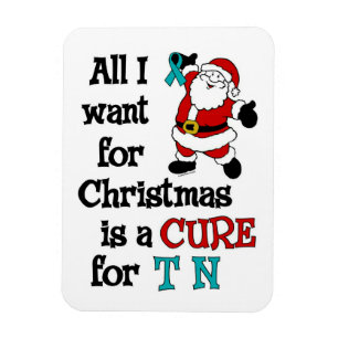 Alles, was ich zu Weihnachten Wollte... TN Magnet