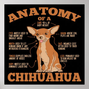 Alles, was Sie brauchen Chihuahua Dog Chihuahu Poster