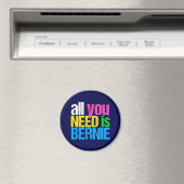 Alles was Sie brauchen ist Bernie Sanders 2020 Magnet (In Situ (Geschirrspüler))