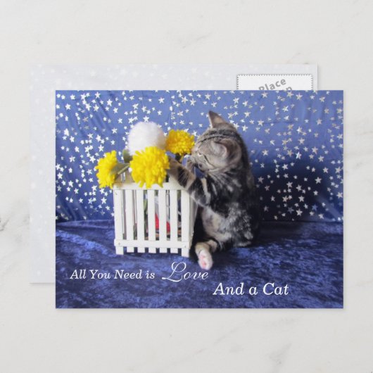 Alles, was Sie brauchen, ist Liebe - und eine Katz Postkarte (Vorne/Hinten)