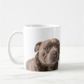 Alles, was Sie brauchen, ist Liebe und eine Staffy Kaffeetasse (Links)