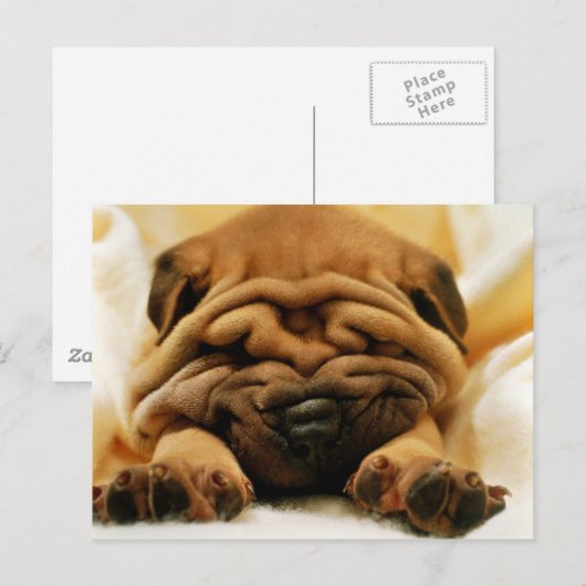 Alles zerknittert postkarte (Vorne/Hinten)