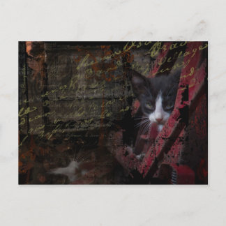 Alley 007 Postcard Postkarte