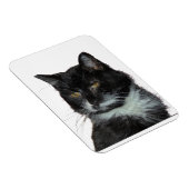 Alley Cat Liebe Magnet (Rechte Seite)