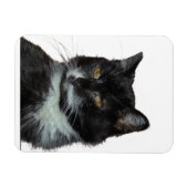 Alley Cat Liebe Magnet (Horizontal)
