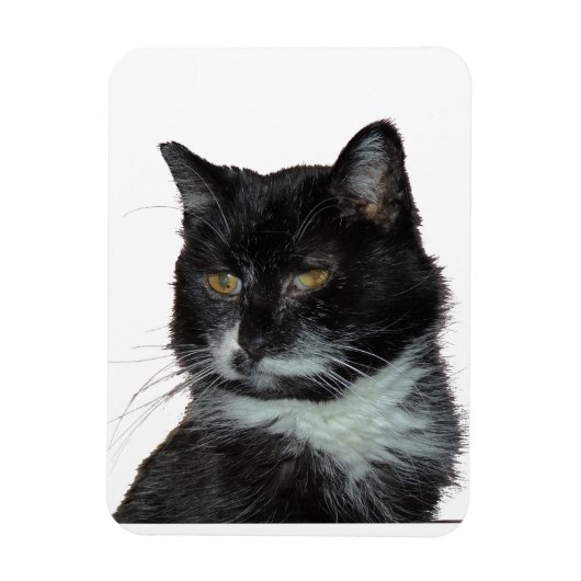 Alley Cat Liebe Magnet (Vertikal)