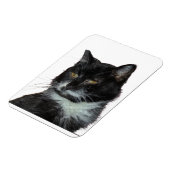 Alley Cat Liebe Magnet (Linke Seite)