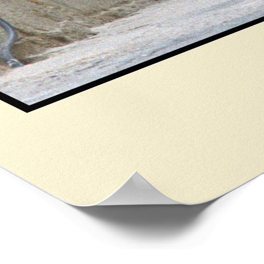 Alley Cat - Malta Poster (Ecke)