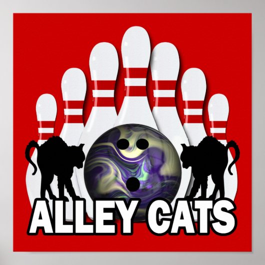 Alley Cats Poster (Vorne)