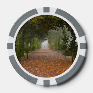 Alley in Nebel Pokerchips