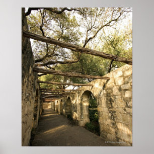 Alley in San Antonio, Texas Poster
